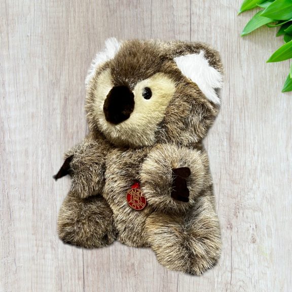 Koala maci Koala maci