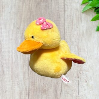 Nici sárga kacsa