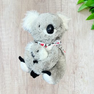 Koala mama, kicsinyével