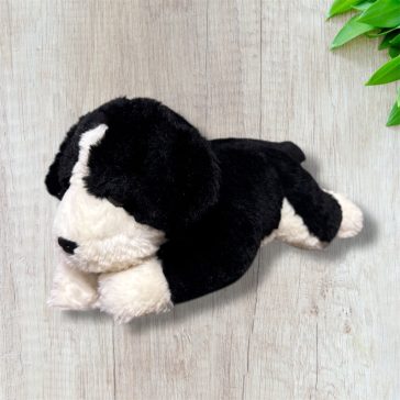 Fekete-fehér kutyus