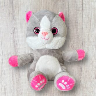 Szürke csillogó szemű cica