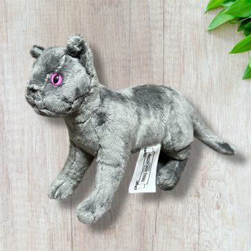 Mágikus állatok iskolája - Cica