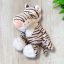 Nici barna tigris