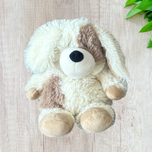Foltos, mikrózható kutya Foltos, mikrózható kutya