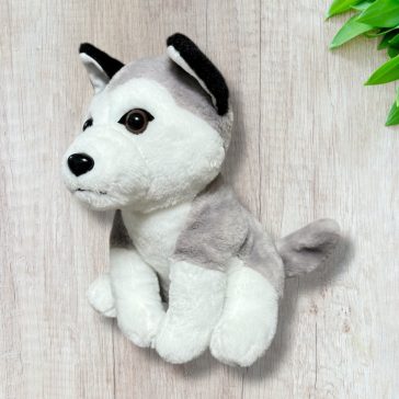Husky kutya