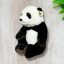WWF panda