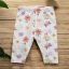 Pillangós legging 3-6 hó